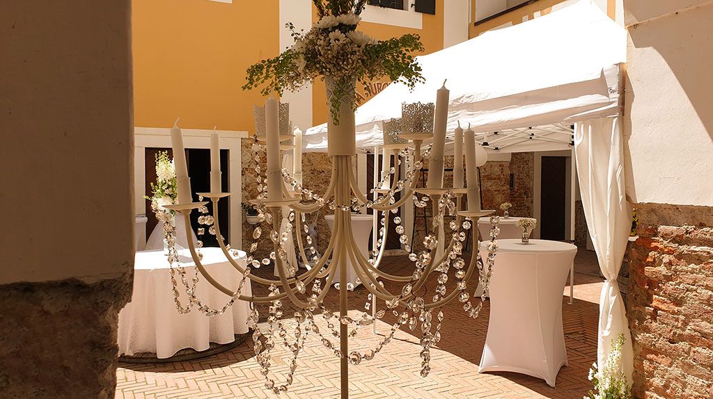 Spektakularni domjenci